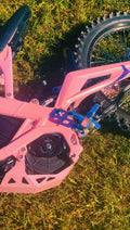 LumexMoto® Emoto Pegs